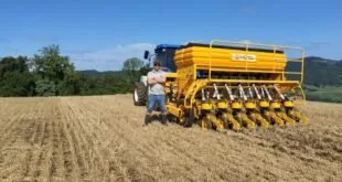 Qualidade no plantio gera bons resultados na colheita