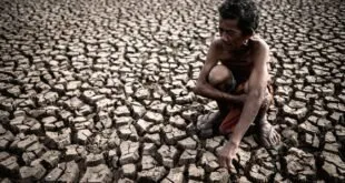 ONG investirá US$ 3,4 bilhões para combater fome e desnutrição infantil