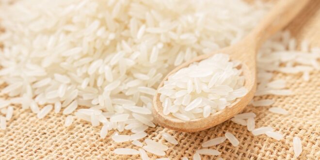 NOVO Entra na Justiça para Barrar Importação Estatal de Arroz