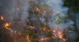 Queimadas Batem Recorde no Pantanal, Cerrado e Amazônia, Mas Influenciadores de Esquerda Ficam Calados