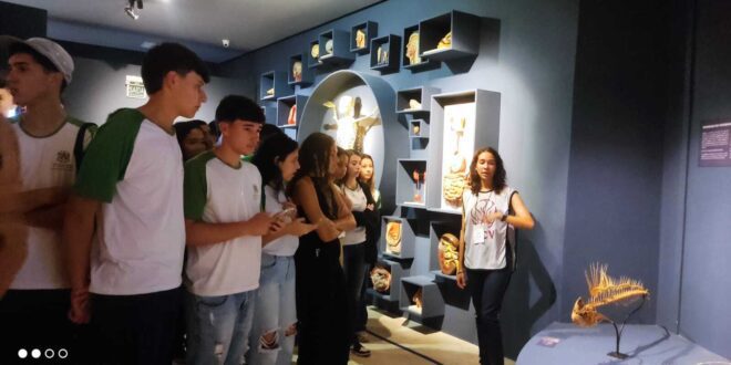 Estudantes de Muqui visitam Museu da Vida em Vitória