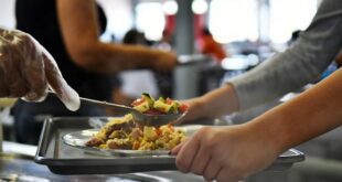 Nova lei regulamenta profissão de técnico em nutrição e dietética – Notícias