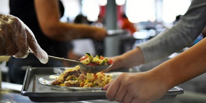 Nova lei regulamenta profissão de técnico em nutrição e dietética – Notícias