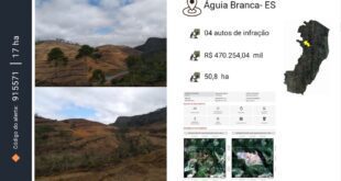 Idaf multa infrator em R$ 470 mil por desmatar 50 hectares e exige reflorestamento da área