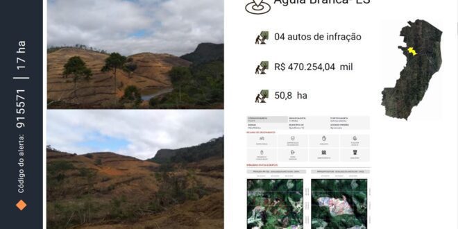Idaf multa infrator em R$ 470 mil por desmatar 50 hectares e exige reflorestamento da área