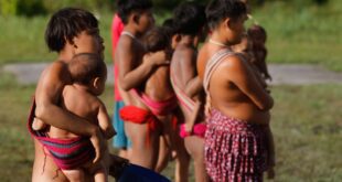 Cimi: políticas públicas ainda não frearam violência contra indígenas