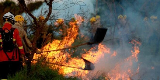 Onda de frio de julho influenciou as queimadas no Pantanal | Climatempo