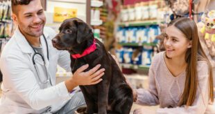 CRMV-RJ apoia PL que visa assegurar a presença de veterinários em tempo integral em casas agropecuárias