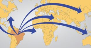 Até julho de 2024, exportações de produtos de defesa somaram R$ 8,4 bilhões superando o total do ano passado