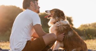 Veterinário dá dicas para que “pais de pet” assegurem o bem-estar de cães e gatos