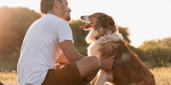 Veterinário dá dicas para que “pais de pet” assegurem o bem-estar de cães e gatos