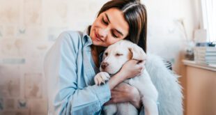 Conexão intensa com cães reduz risco de depressão e ansiedade