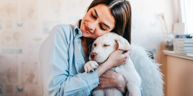 Conexão intensa com cães reduz risco de depressão e ansiedade