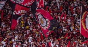 Pesquisa mostra ranking de maiores torcidas do país; veja