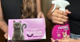 Congresso Cat in Rio destaca inovação em Medicina Felina com participação da Pearson