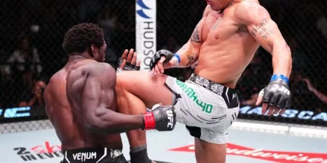 Brasileiros brilham em grande estilo no UFC de Las Vegas