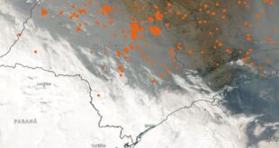 A fumaça pode voltar para SP? | Climatempo