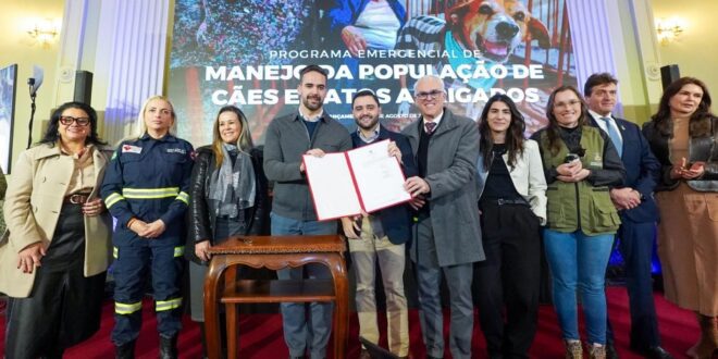 Novo programa estadual de apoio aos abrigos de cães e gatos é anunciado no RS
