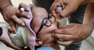 ONU contabiliza 187 mil crianças vacinadas contra pólio em Gaza