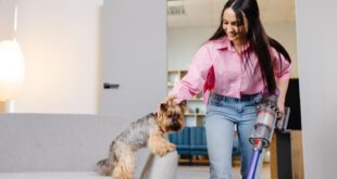 Limpeza eficaz em casa é fundamental para garantir o bem-estar de cães e gatos