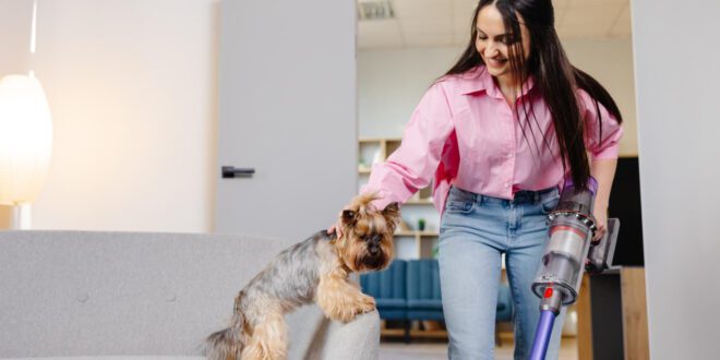 Limpeza eficaz em casa é fundamental para garantir o bem-estar de cães e gatos