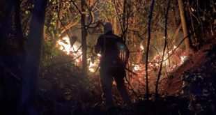 Corpo de Bombeiros intensifica combate a incêndios florestais com Operação Saturação