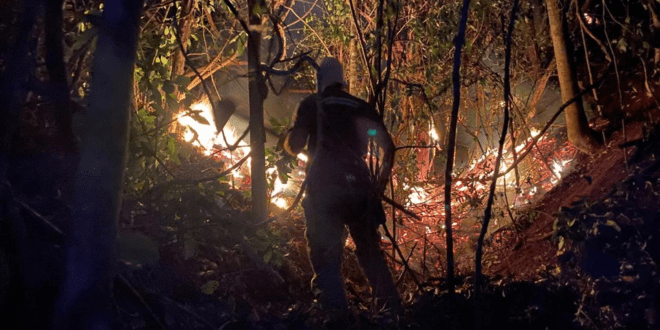 Corpo de Bombeiros intensifica combate a incêndios florestais com Operação Saturação