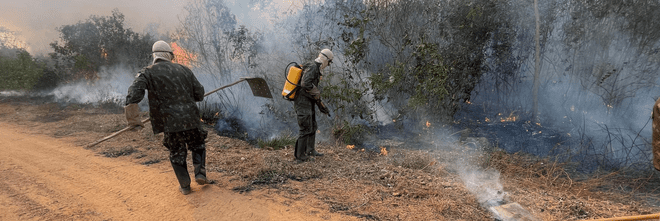 Defesa ativa comando conjunto para apoio ao combate a incêndios e estiagem na Amazônia Legal