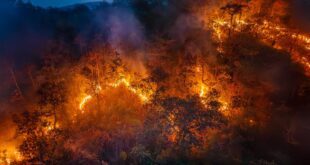 Brasil bate recorde de emissões de carbono com queimadas em alta | Climatempo