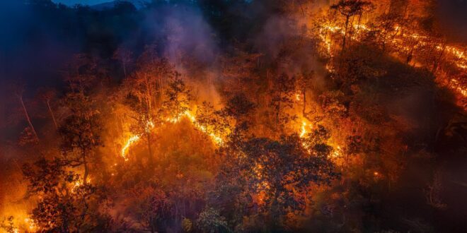 Brasil bate recorde de emissões de carbono com queimadas em alta | Climatempo