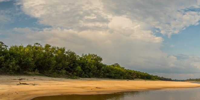 Seca na Bacia do Rio Amazonas preocupa cadeia do abastecimento | Climatempo