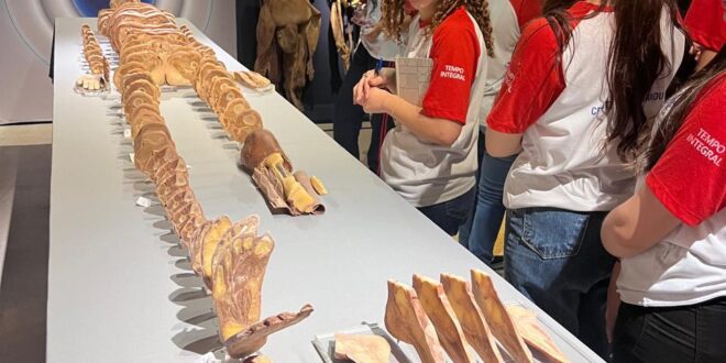 Estudantes de Baixo Guandu visitam laboratório de referência em Vitóri