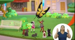 Instituto Ampara Animal lança filme para crianças sobre maus-tratos animais