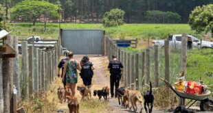 PCES prende mulher suspeita de maus-tratos a animais em Aracruz