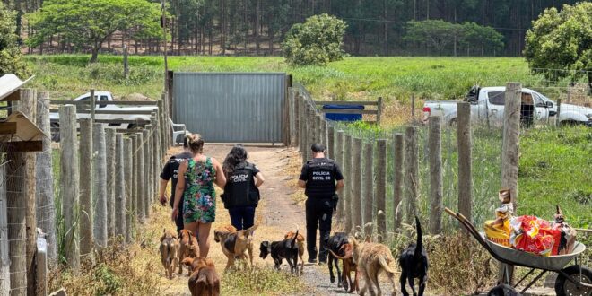 PCES prende mulher suspeita de maus-tratos a animais em Aracruz