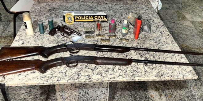 Polícia Civil cumpre mandado de busca e apreensão e apreende armas de fogo em Nova Venécia