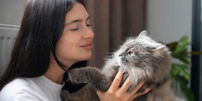 Parceria entre gatos e humanos é marcada por devoção