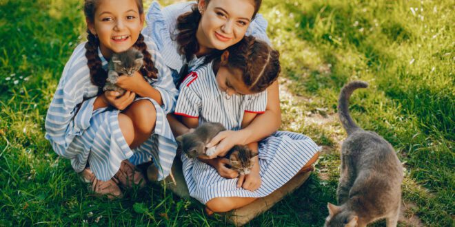 Convívio com gatos pode apresentar benefícios aos humanos
