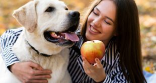 Veterinário indica frutas seguras para oferecer aos pets