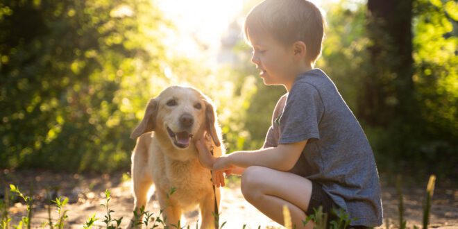 Dicas auxiliam a boa convivência entre cães e crianças