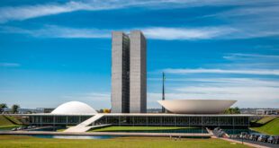 CFMV reforça posição sobre ensino à distância na formação em Medicina Veterinária