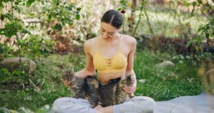Yoga com gatos traz benefícios para humanos e bichanos