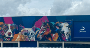 Dechra expande operações em Londrina (PR) e Impulsiona