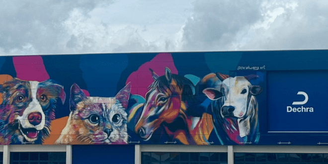 Dechra expande operações em Londrina (PR) e Impulsiona