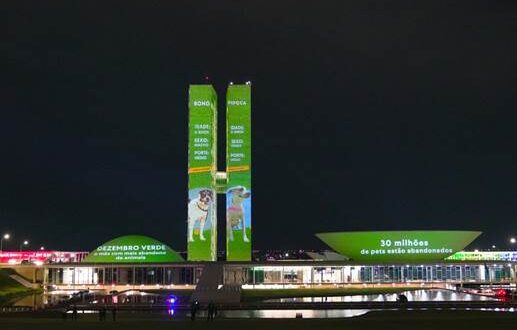 Projeção no Congresso Nacional destaca número alarmante