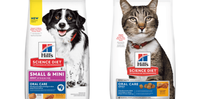 Hill’s Pet Nutrition lança linha para condições específicas da saúde dos pets