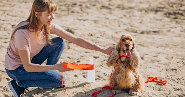 Veterinária mostra como cuidar do seu pet durante praia 