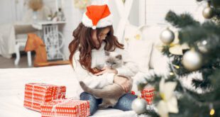 Pets são presente de Natal? Veterinária reflete sobre o tema