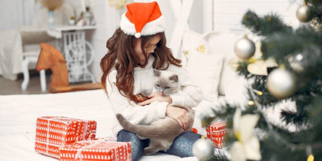 Pets são presente de Natal? Veterinária reflete sobre o tema