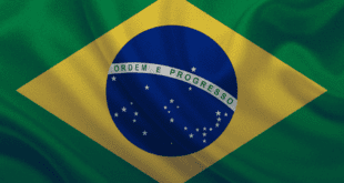 Nas Eleições Municipais, o que Está em Jogo É o Futuro do Brasil 